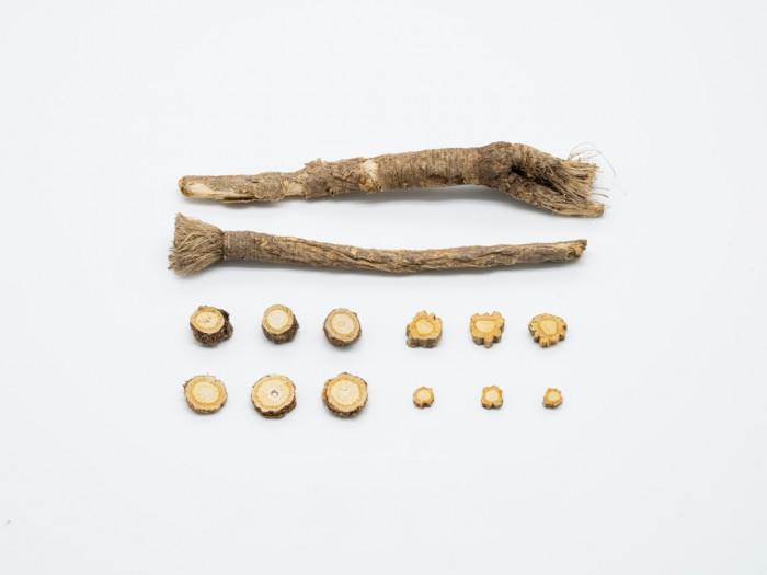 İngilizcede Cümle Bağlayıcıları