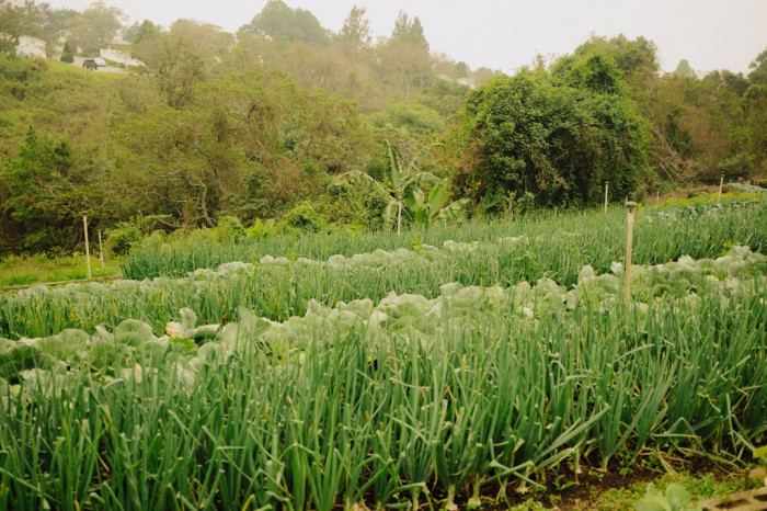 Gaziemir İngilizce Kursu Fiyatları