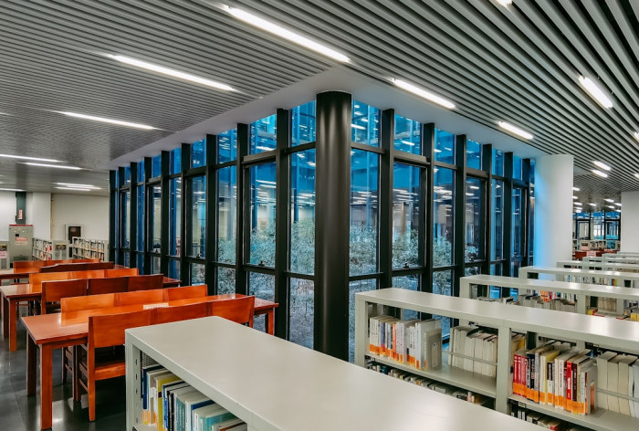 İngilizcede Tahta Kurdu Ne Demek?